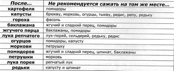 Что можно сажать после уборки лука и чеснока: что посадить, таблица - огород-365