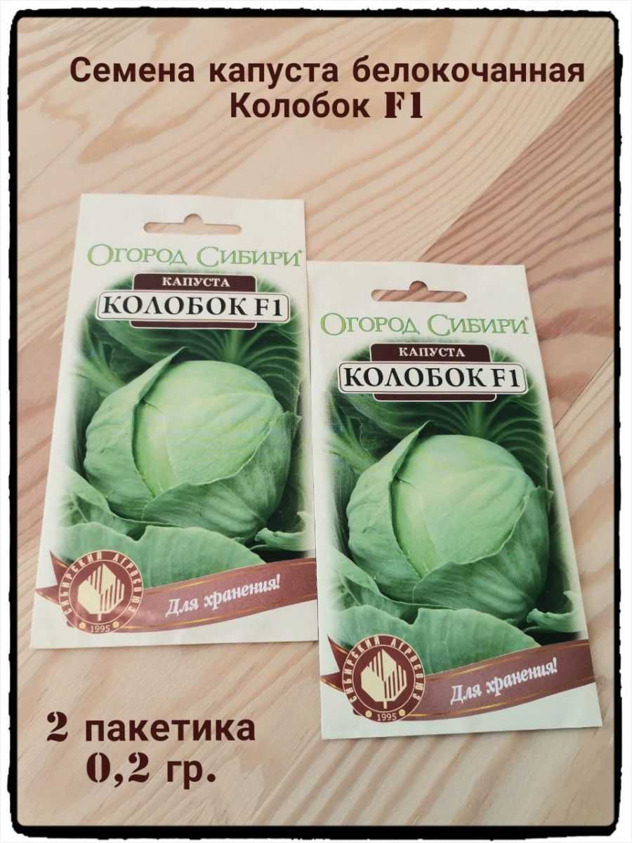 Капуста колобок: описание сорта, фото, урожайность и отзывы огородников