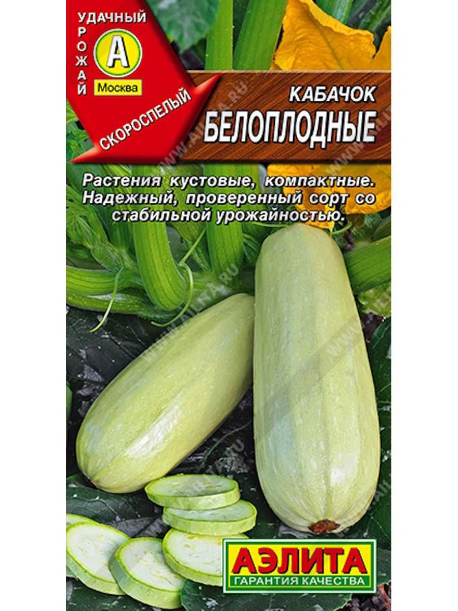 Белоплодные кабачки: популярные сорта и выращивание