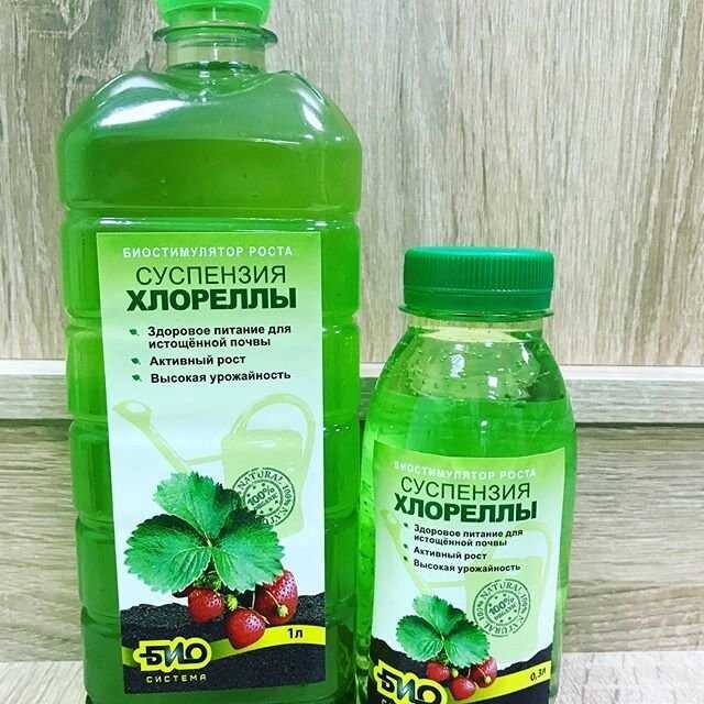Хлорелла для растений: инструкция по применению удобрения