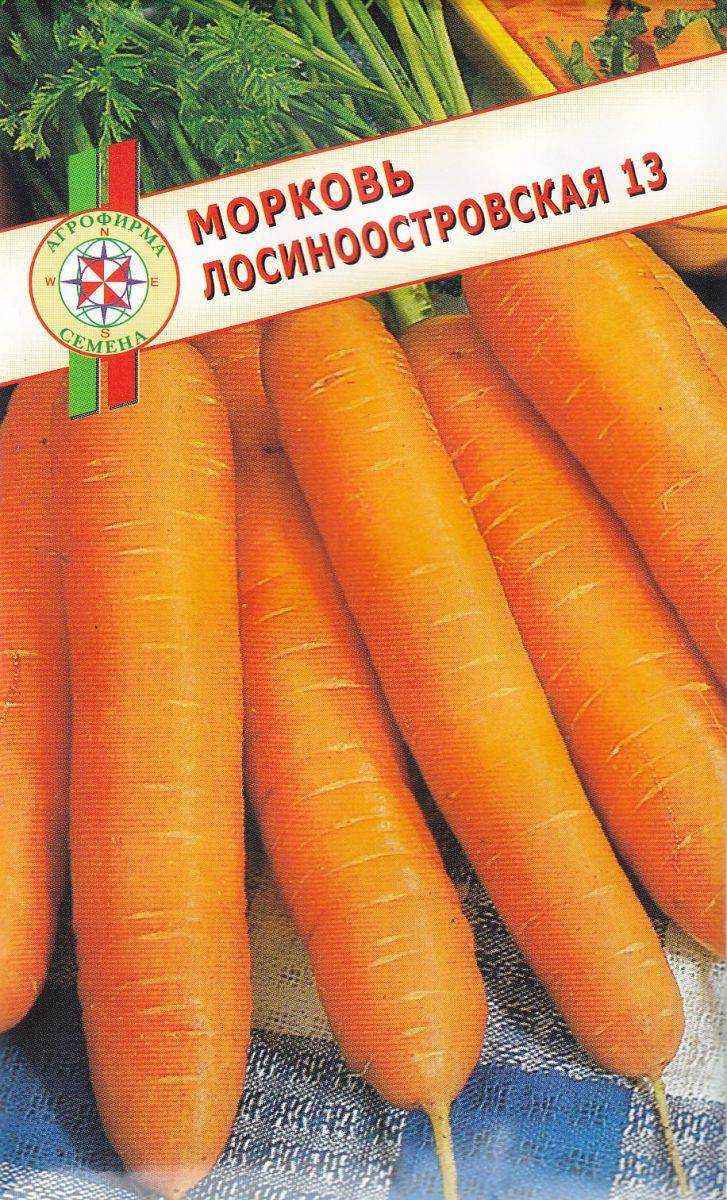 Лосиноостровская: описание сорта моркови, характеристика, выращивание