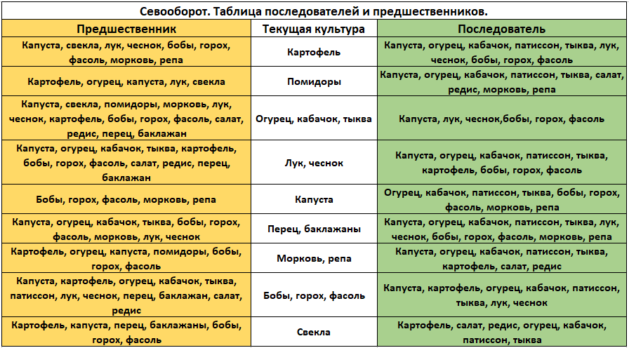 Что можно сажать после лука на следующий год (и после его уборки в августе): особенности севооборота на грядке в открытом грунте и теплице