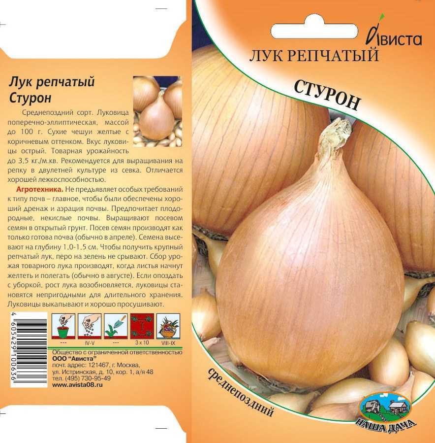 Есть сорт лука шетана - у дачки