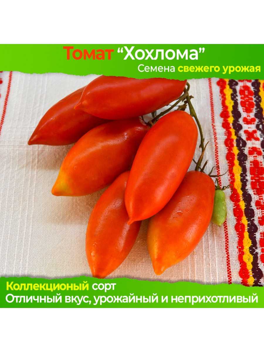Томат хохлома