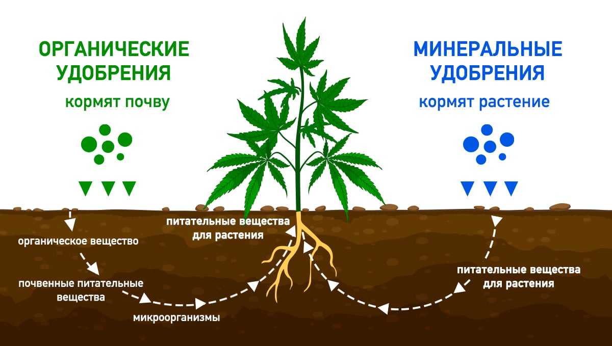 Удобрение ому: инструкция по применению универсального, состав, отзывы