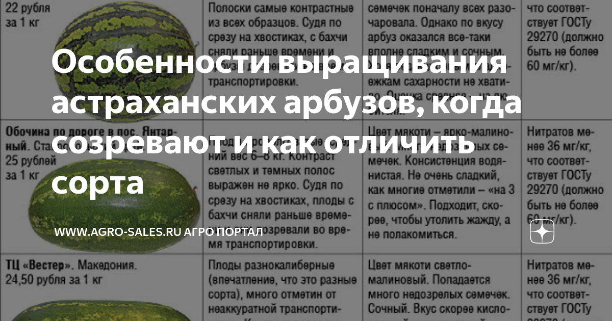 ᐉ дыня алтайская: характеристики, фото, плюсы и минусы сорта, выращивание, отзывы - zookovcheg.ru