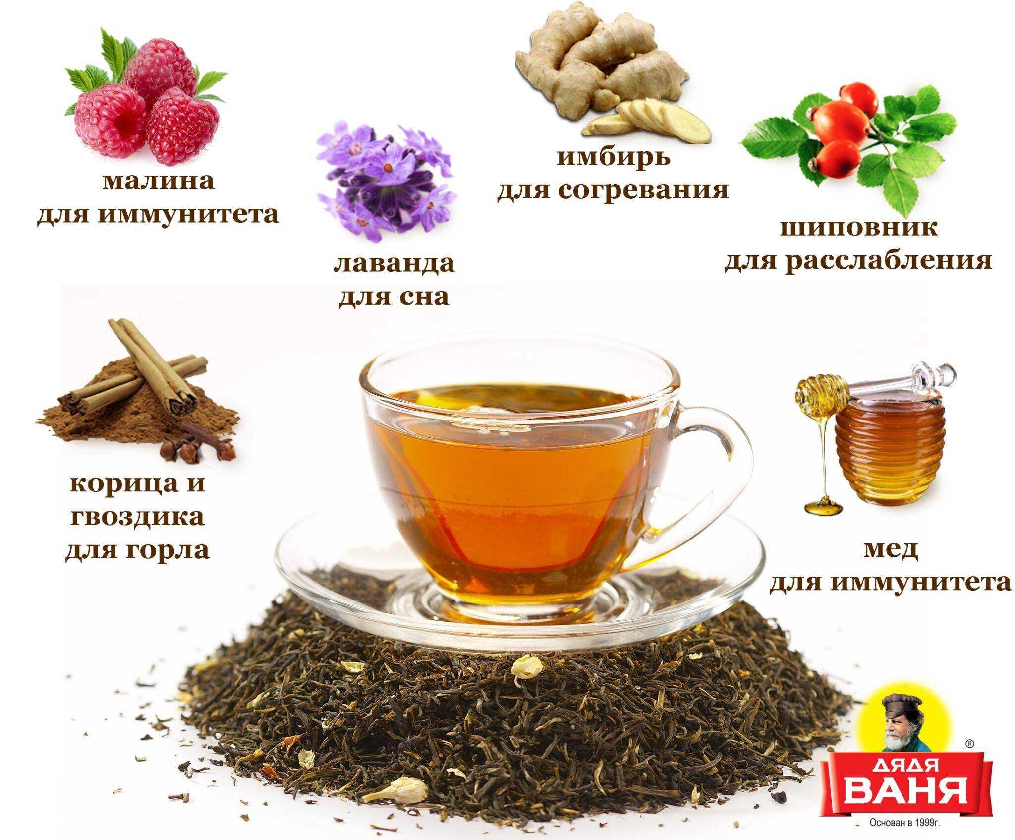 Чай из бадана