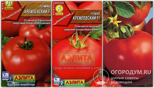 Томат p20+beauty king: характеристика и описание сорта, отзывы, урожайность, фото