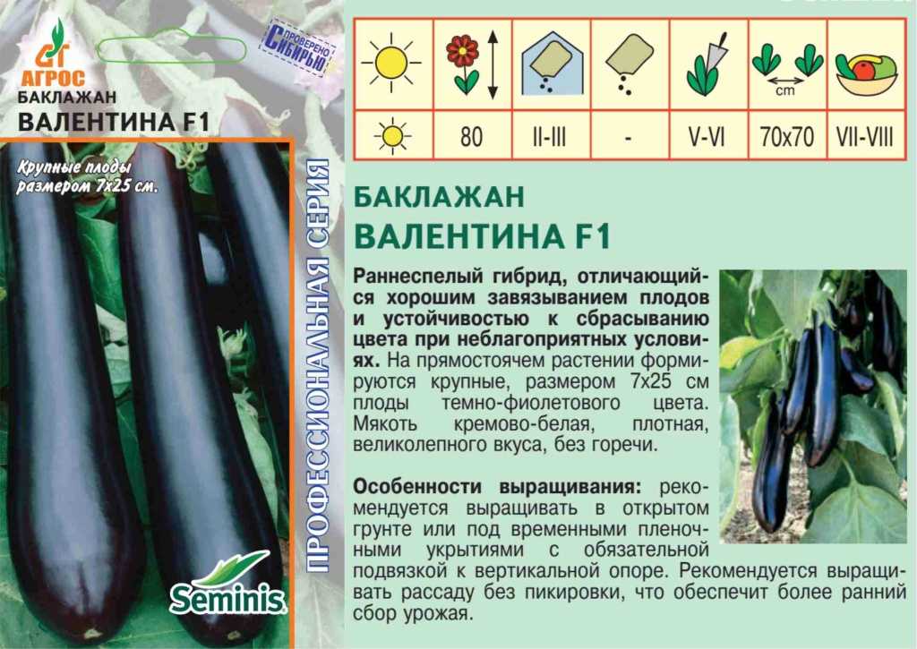 Сорт баклажан валентина, описание, характеристика и отзывы, а также особенности выращивания
