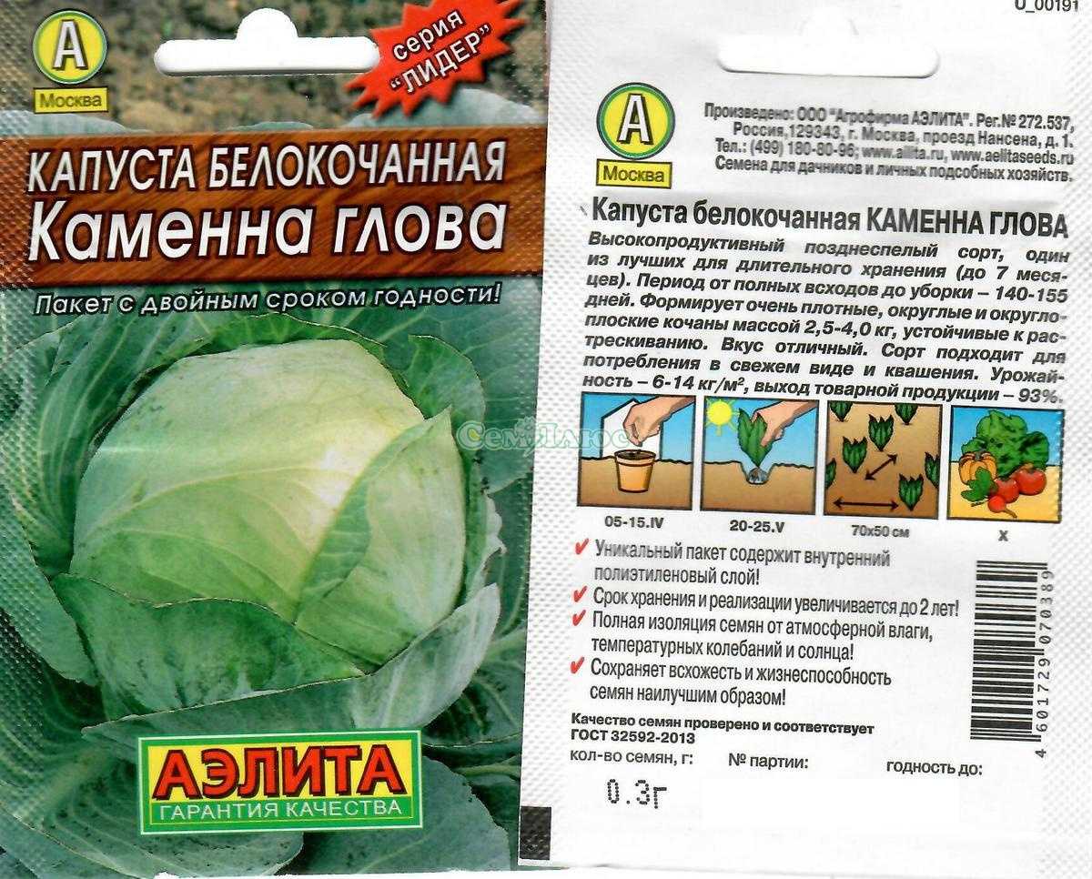 Капуста каменная голова: характеристика и описание позднего сорта