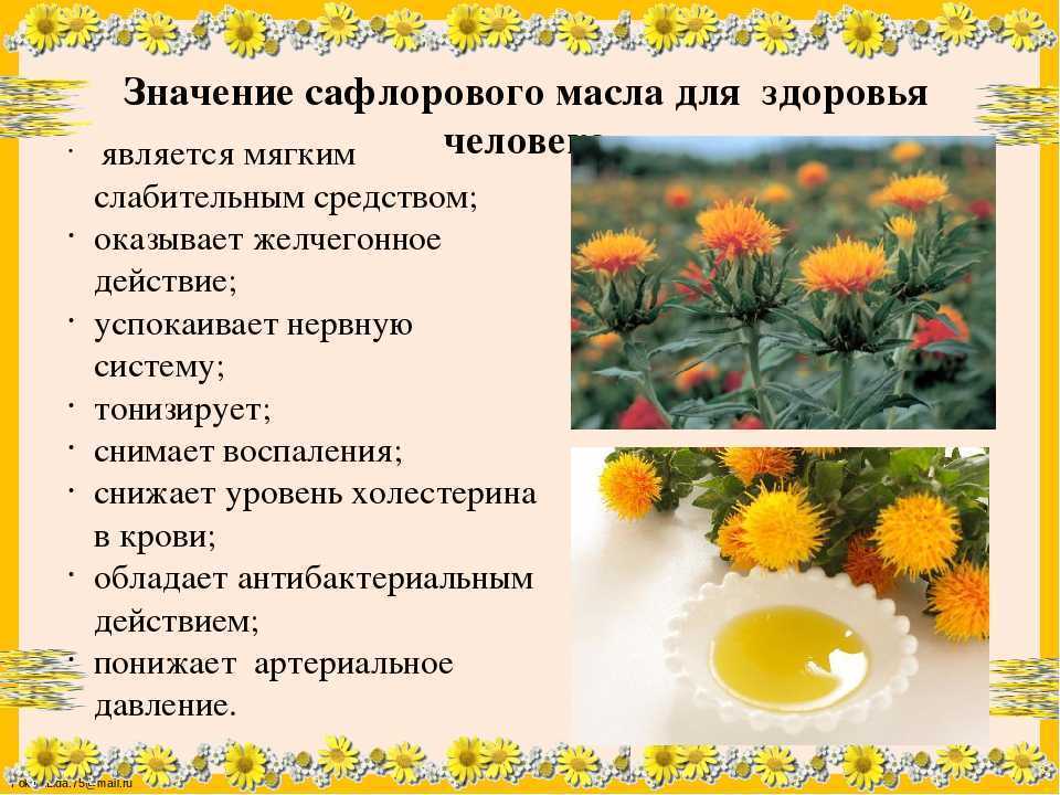 Phacelia campanularia: виды, описание, особенности выращивания и полива, фото - sadovnikam.ru