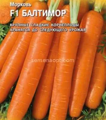 Морковь балтимор f1