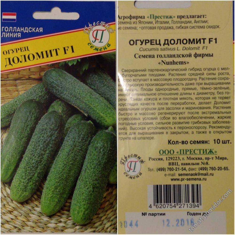 9 незаменимых гибридов огурцов, которые я советую выращивать всем. описание. фото — ботаничка