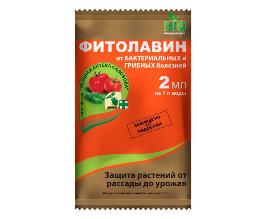Грибок на плодовых деревьях как избавиться — сад и огород