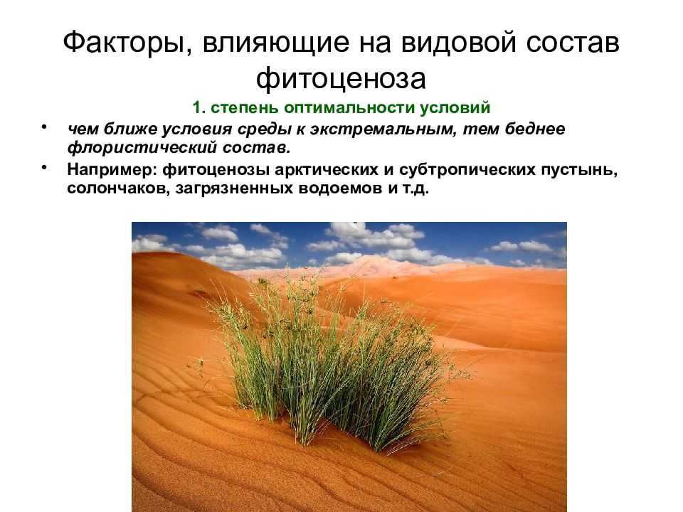 Зоны морозостойкости: что, где и когда сажать будем?