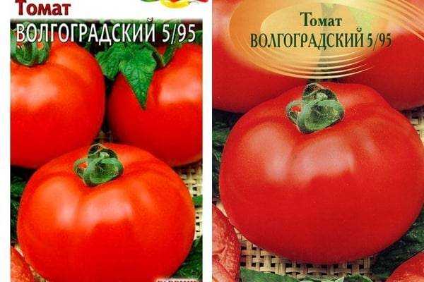 Томат царевич f1 - описание сорта гибрида, характеристика, урожайность, отзывы, фото