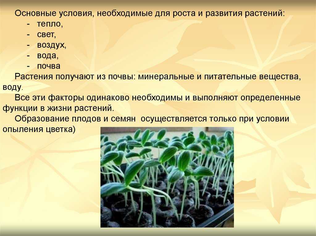 Usda-зоны морозостойкости растений в россии: как не наткнуться на неженку