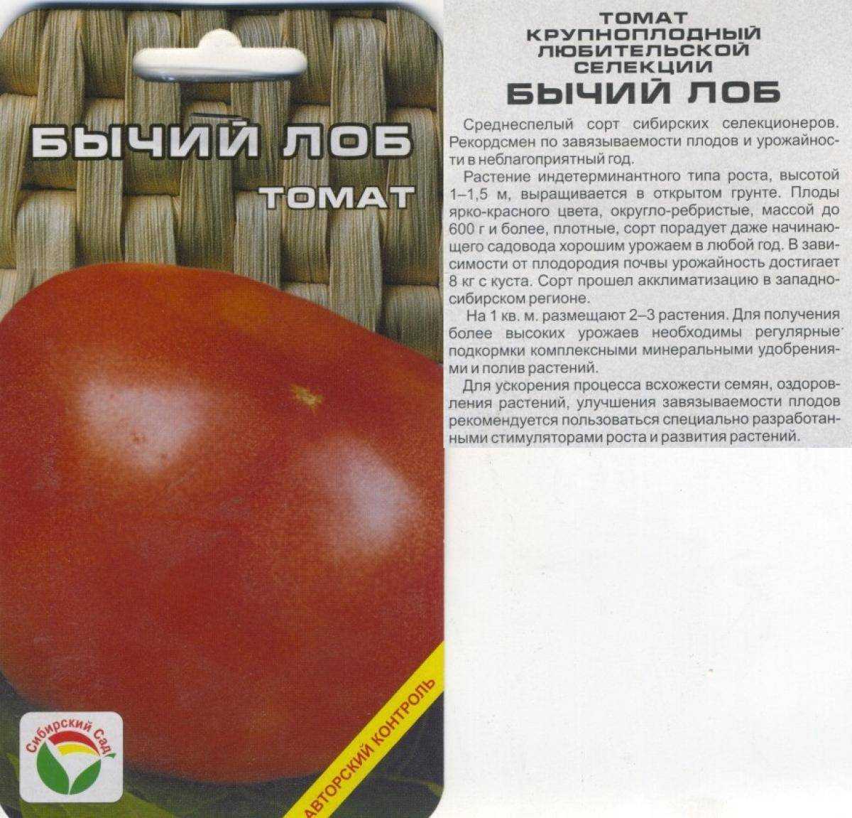 Описание томата Бычий лоб отзывы фото урожайность характеристику сорта особенности выращивания от тех кто сажал