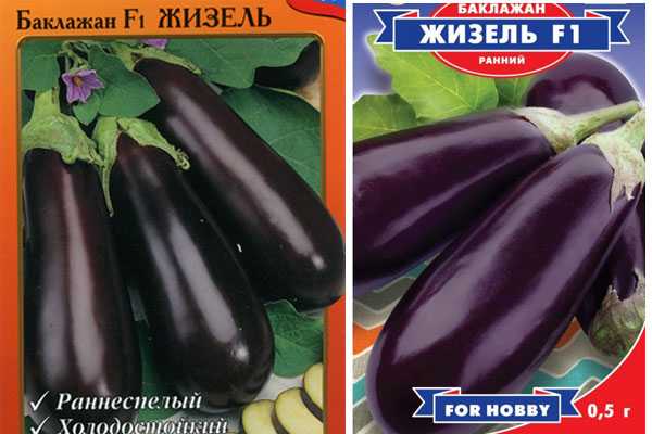 Жизель: всё о сорте баклажана - домсадовника