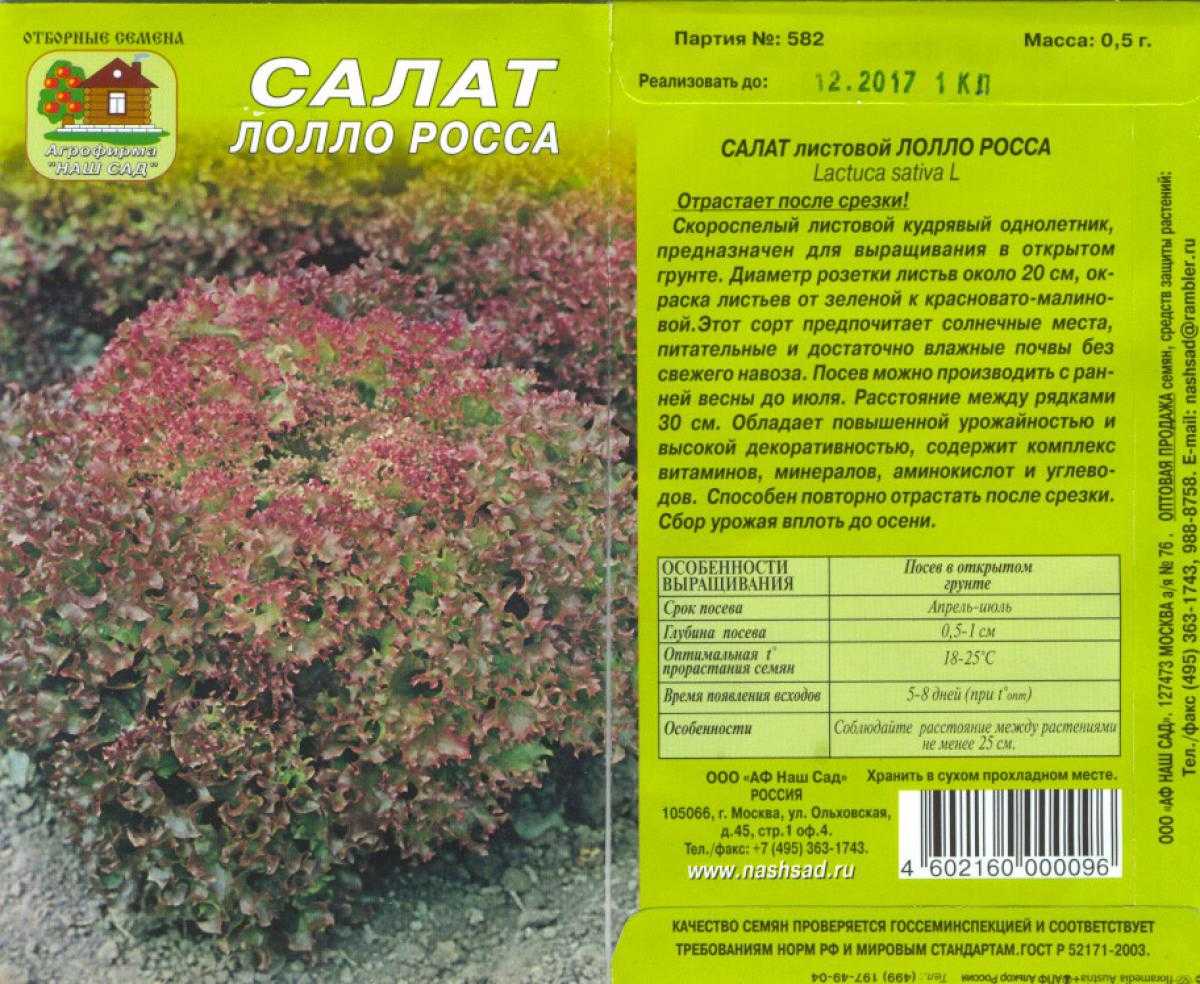 О салате Лолло Росса фото выращивание описание и характеристика сорта отзывы тех кто сажал достоинства и недостатки