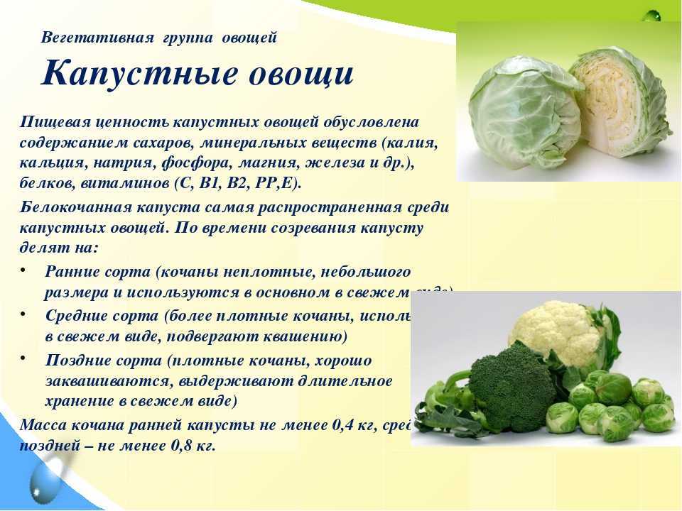 Какая капуста самая полезная: 10 видов