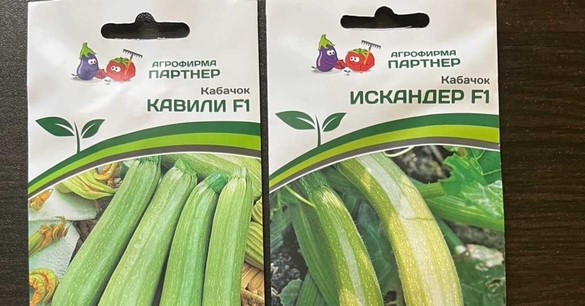 Кабачок кавили f1: характеристика сорта, фото и отзывы