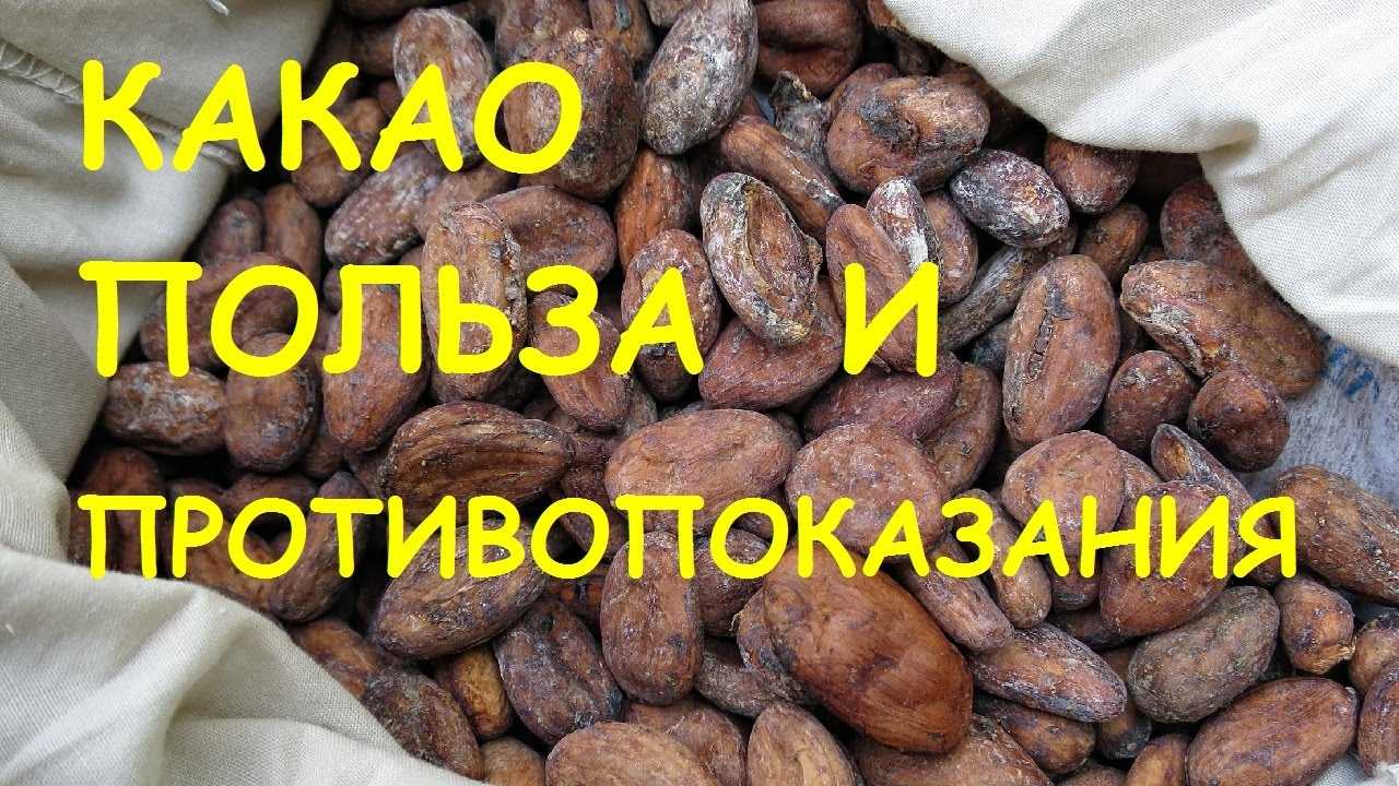 Полезные свойства какао для организма человека
