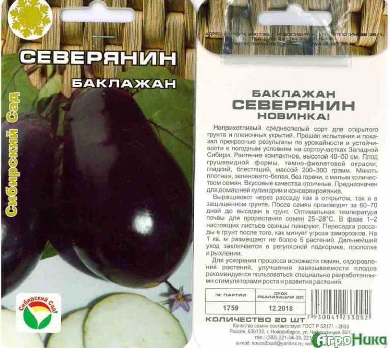 Баклажан илья муромец — описание сорта, отзывы, характеристика и урожайность