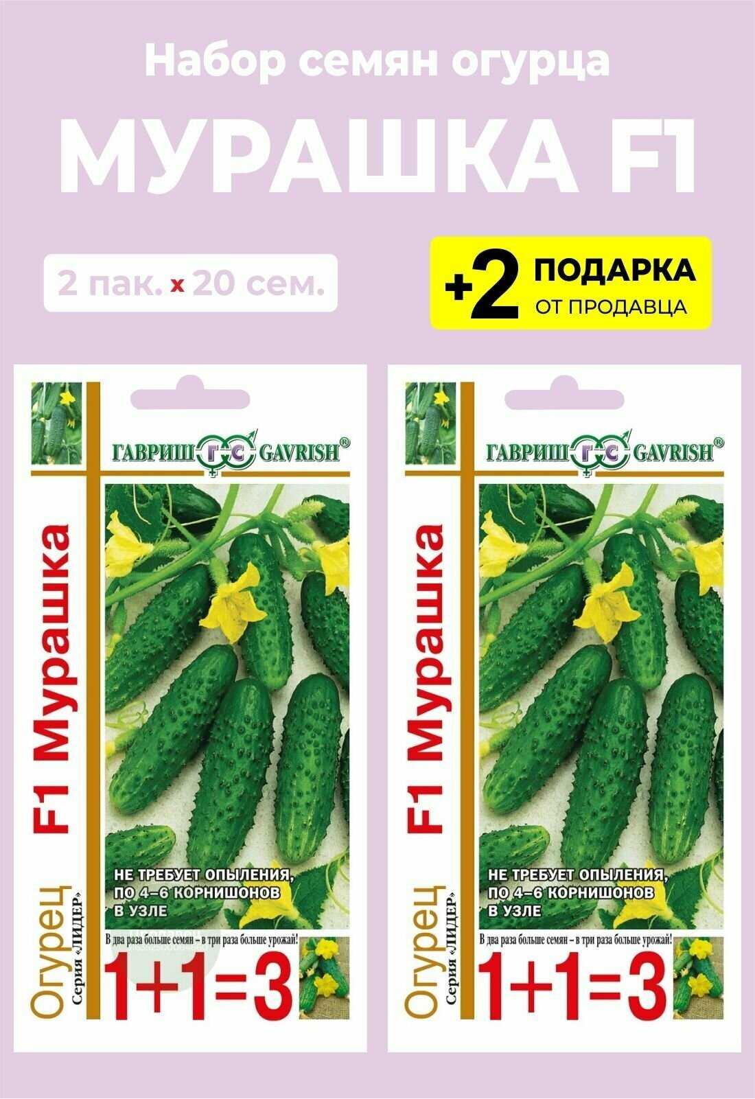 Огурец мурашка f1: описание и характеристика сорта, выращивание и уход