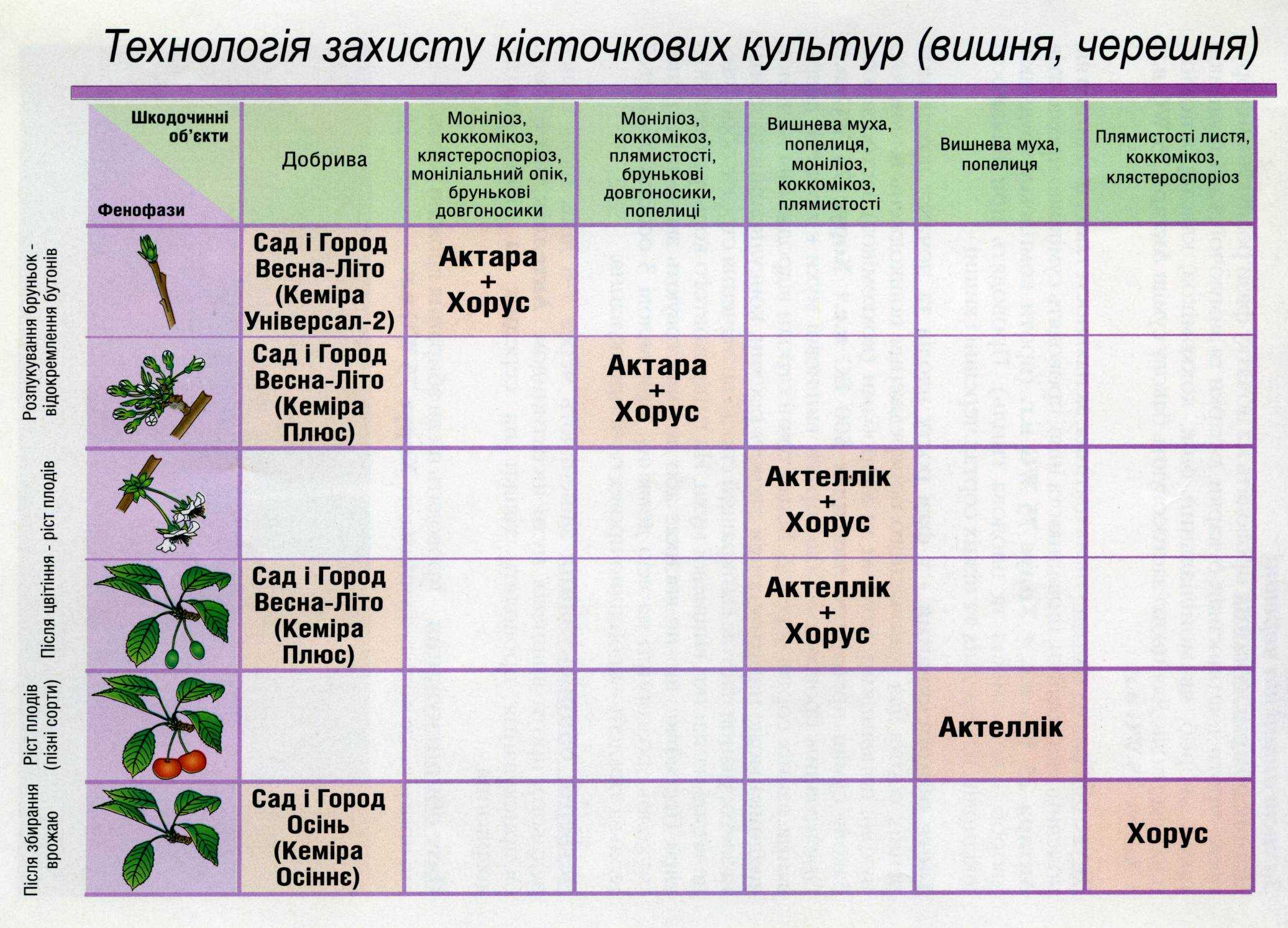 Календарь работ дачника по сезонам и месяцам на 365 дней в году