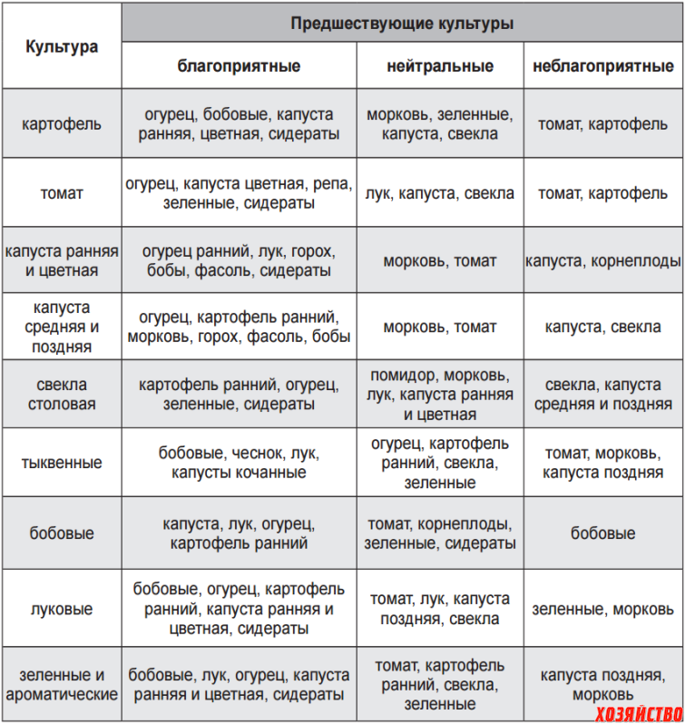 Всё о посадке лука под зиму. плюсы, минусы, сроки, правила. фото — ботаничка