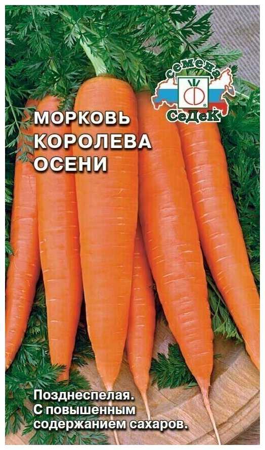 Сорт моркови королева осени