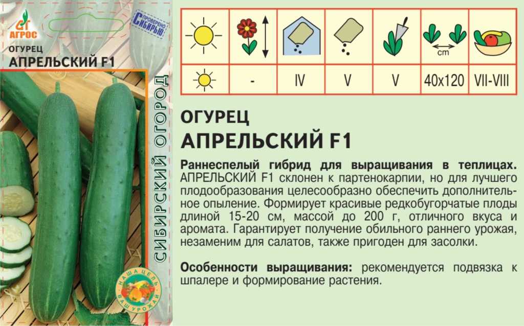 9 незаменимых гибридов огурцов, которые я советую выращивать всем