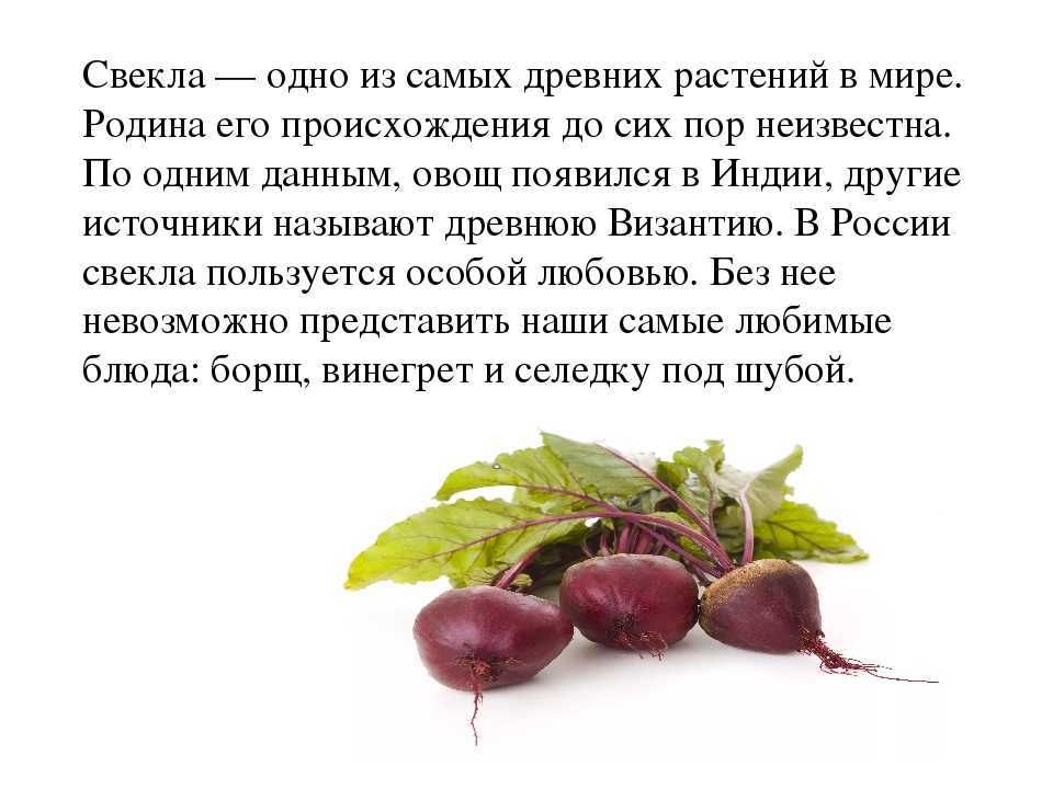 Разница между холодным борщом и свекольником: рецепты и способы приготовления