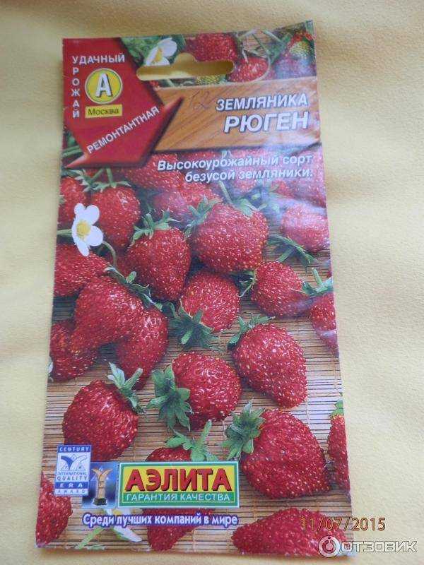 Сорта клубники безусой крупноплодной