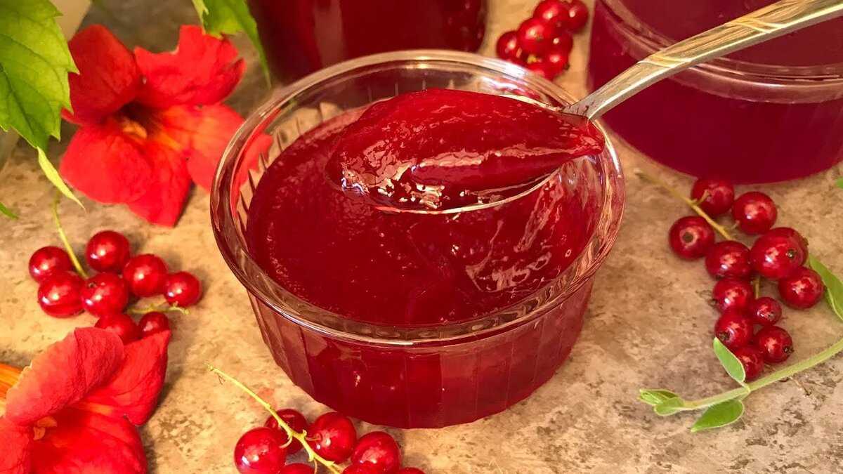 Желе из черной смородины: способы и рецепты приготовления