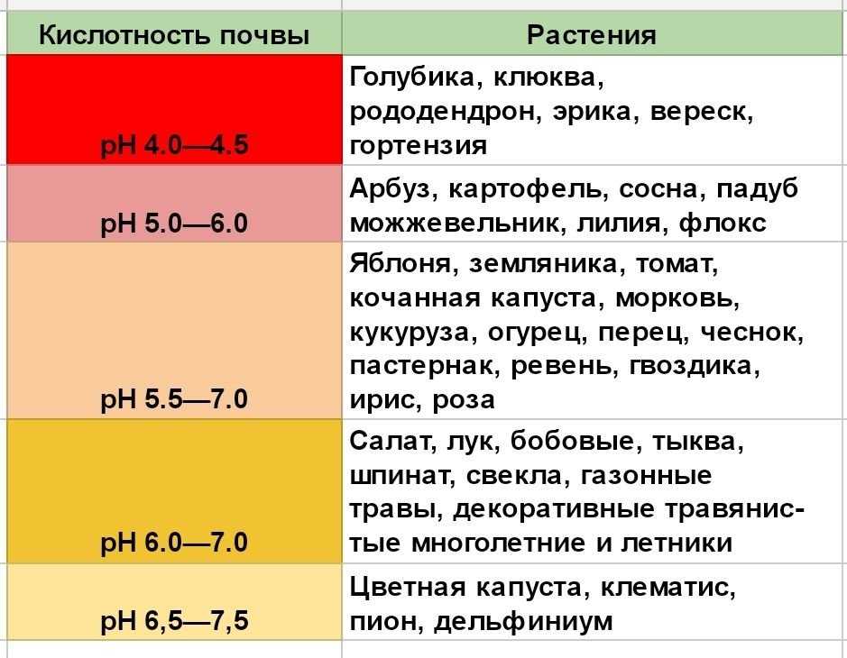 Схема по пунктам: как раскислить почву на огороде