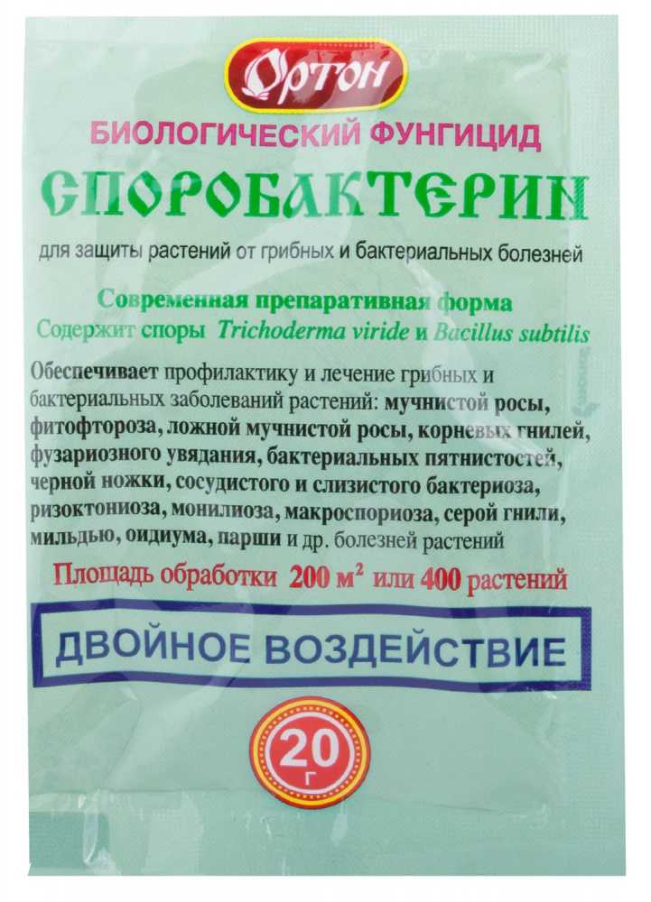 Плесень на древесине: как ее обрабаьывать для профилактики, способы борьбы с грибком на дереве