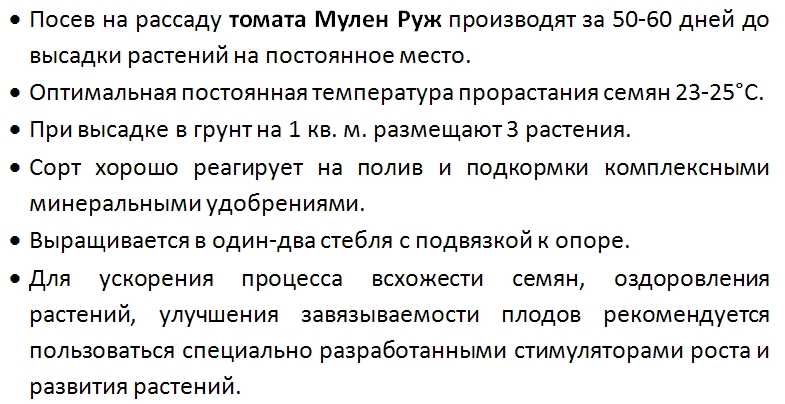 Голландские томаты: 11 вкуснейших высокорослых и низкорослых гибридов