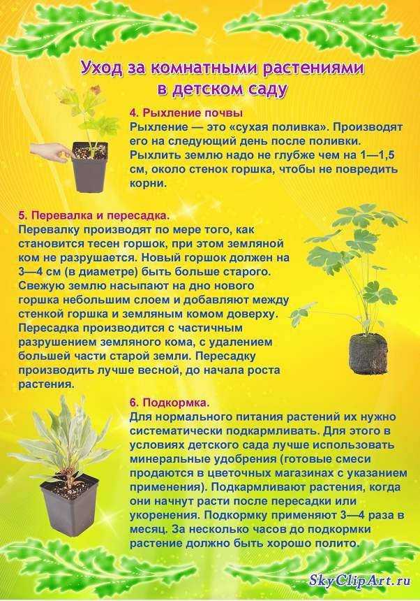 Колумнея