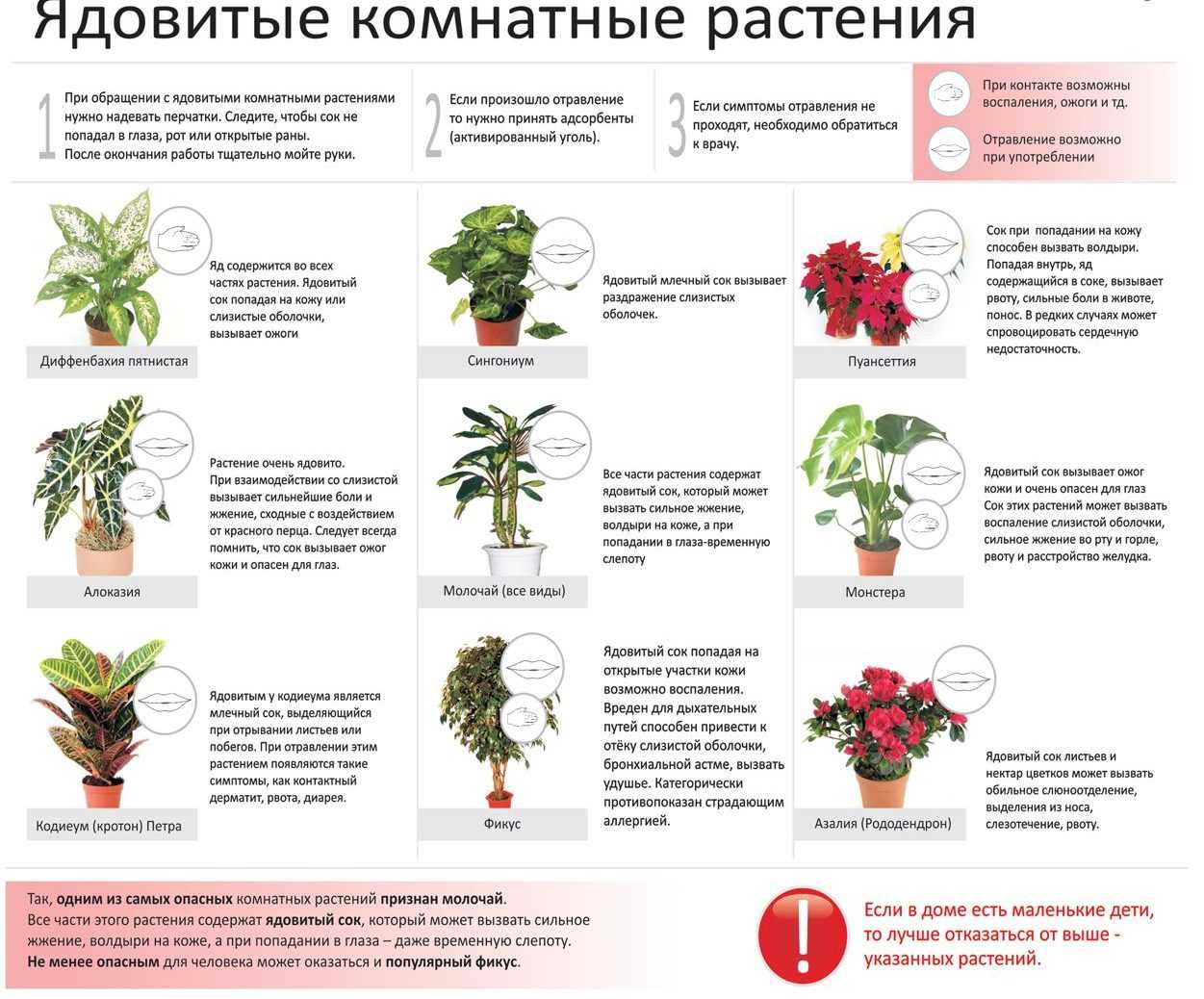 Сейчас в моду входит обильное озеленение которое применяется для создания фитостен или декоративных садов по типу джунглей Оформить такой декор просто нужно купить