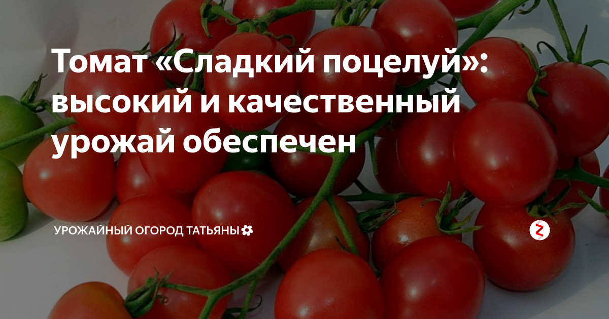 Томат девичьи сердечки: описание сорта, урожайность, фото, отзыв