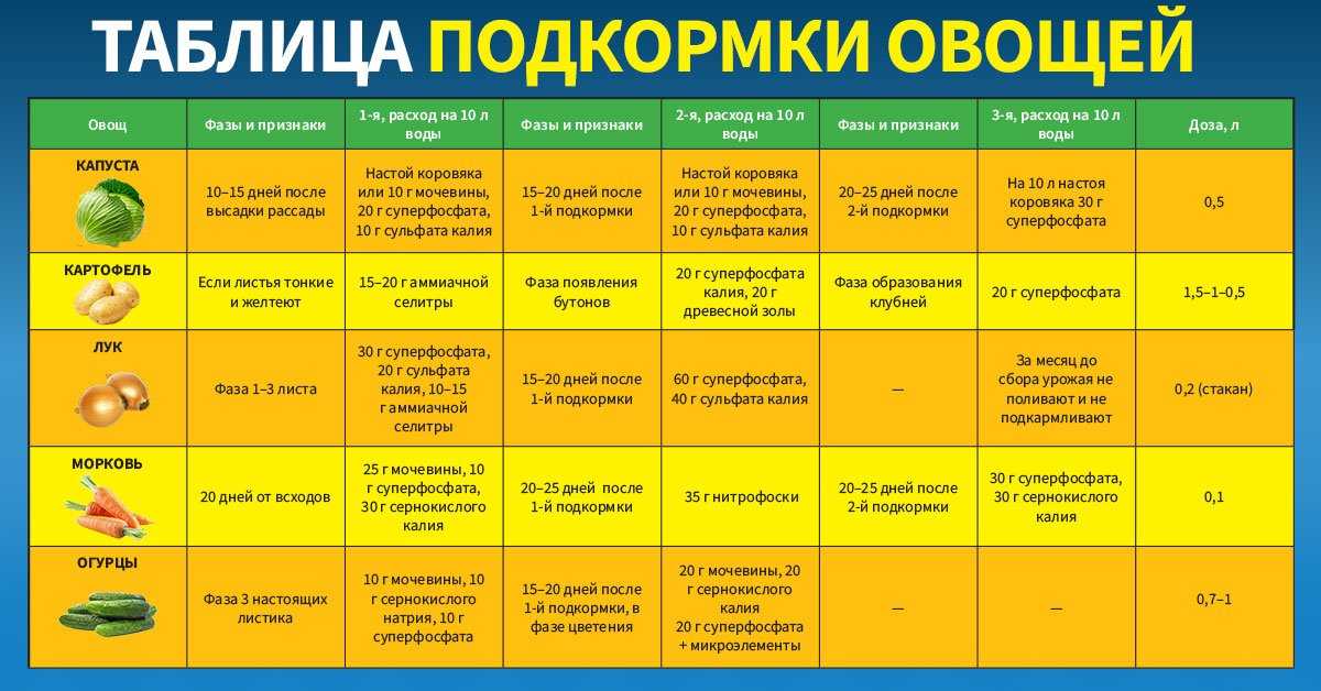 Урожайность томатов: с куста, с сотки, урожайность различных сортов