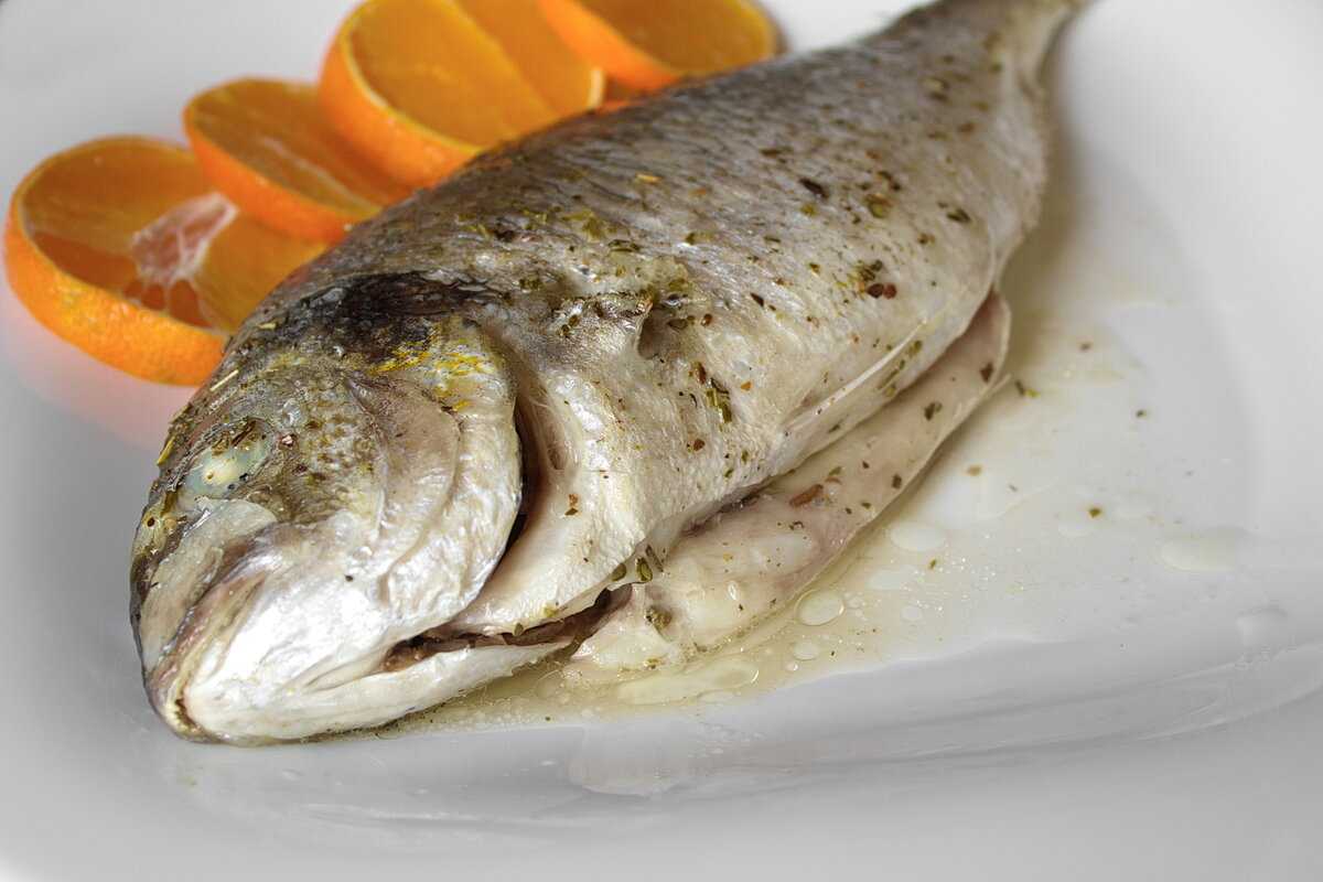 Красная рыба: полезные свойства. великолепный продукт.