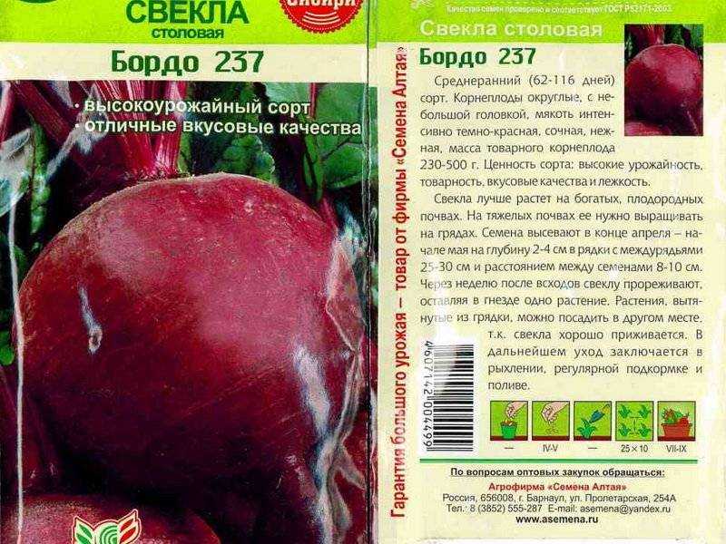 Свёкла — полезные свойства, сортотипы, лучшие сорта. фото — ботаничка