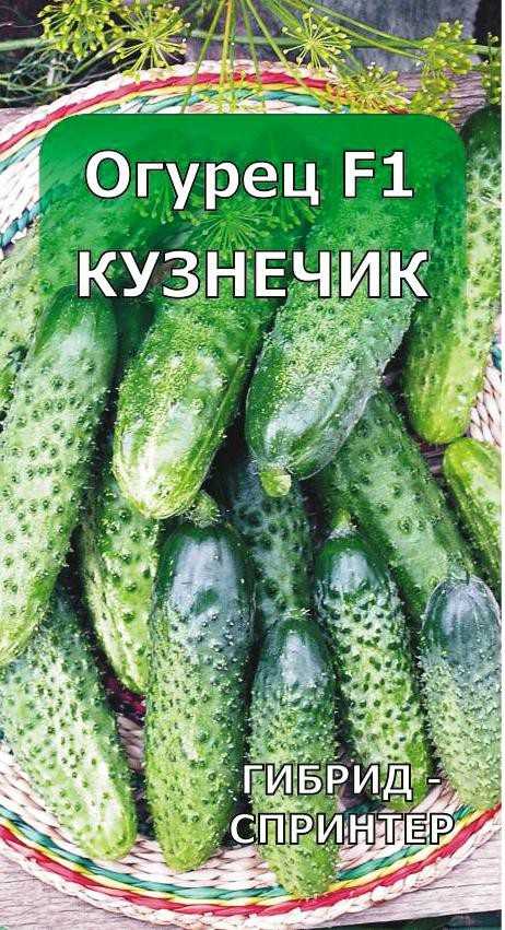 9 незаменимых гибридов огурцов, которые я советую выращивать всем