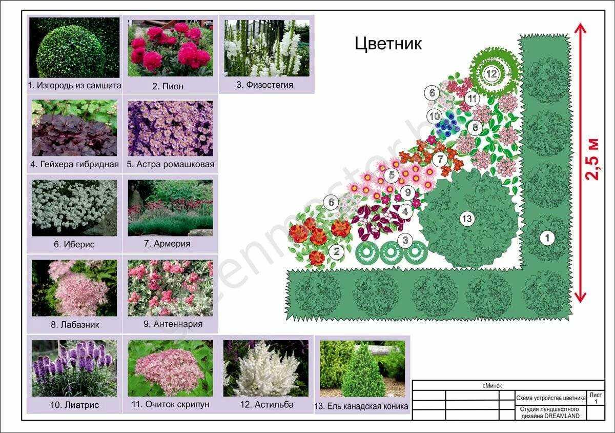 Цветники из многолетников на крыше — особенности организации. фото — ботаничка