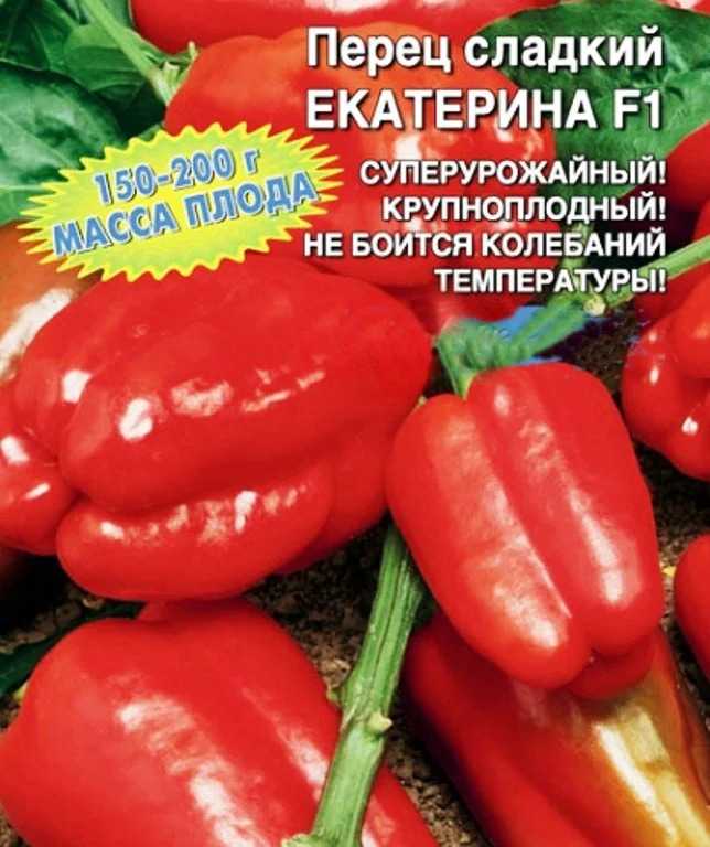 Сорта высокорослых перцев: лучшие сорта и их выращивание
