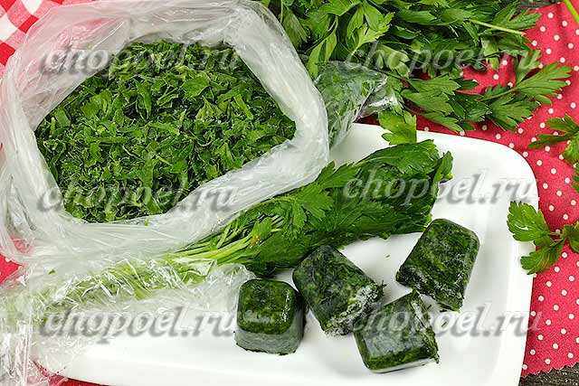 Морс из чёрной смородины пошаговый рецепт быстро и просто от марины данько