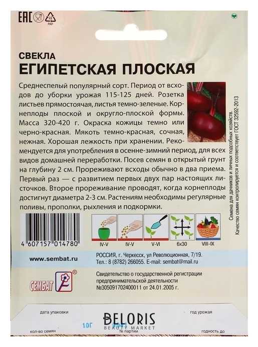 Свекла египетская плоская